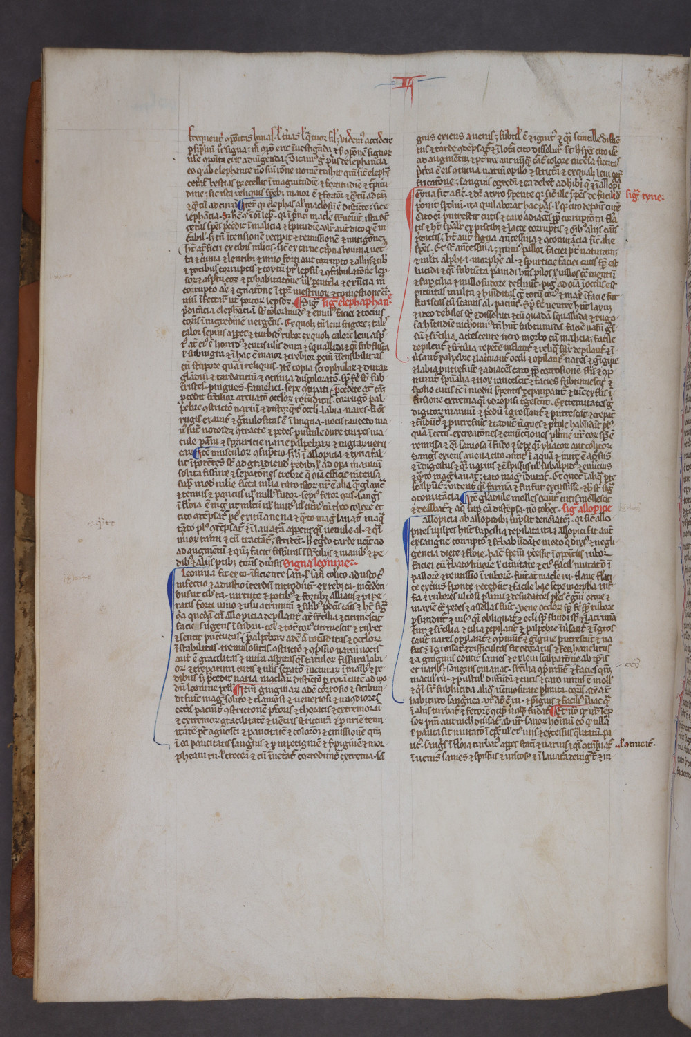 Folio 155 verso